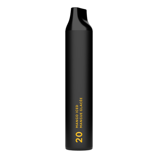 Envi Apex Disposable Vape Stick (6ml / 1100mah) - Premium eJuice
