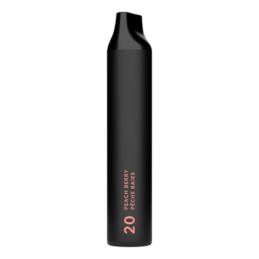 Envi Apex Disposable Vape Stick (6ml / 1100mah) (Envi)