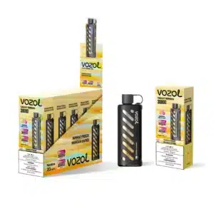 vozol gear shisha mango freeze